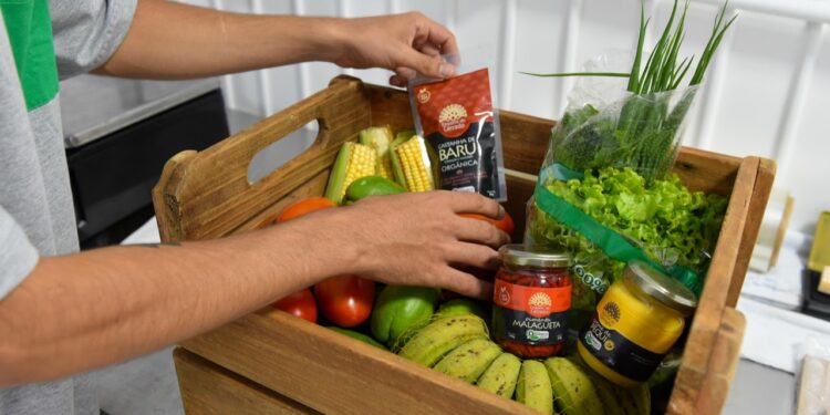 Gânica: plataforma brasiliense reúne produtores locais de orgânicos