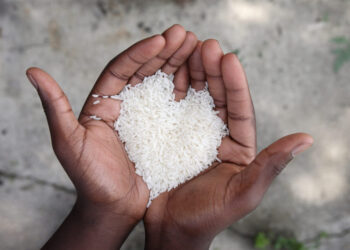 Shoppings do DF se juntam para arrecadar alimentos para famílias em situação de vulnerabilidade social