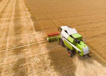 Mato Grosso lidera retomada da economia brasileira com PIB de 4,1%, aponta estudo