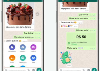 Serviço de pagamento pelo WhatsApp é liberado no Brasil