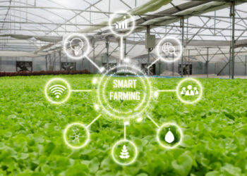 1º DemoDay Startup/TO Agritechs na Agrotins 2021 está com inscrições abertas