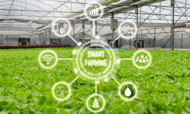 1º DemoDay Startup/TO Agritechs na Agrotins 2021 está com inscrições abertas