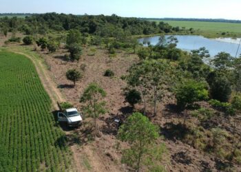 Movida trabalha no reflorestamento do corredor de biodiversidade do Rio Araguaia