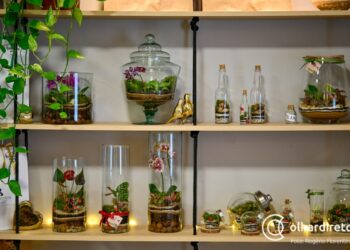 Mimos No Pote: Engenheira ambiental transforma hobby em negócio e vende terrários pelo Instagram