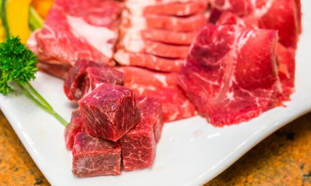 Exportação de carne bovina cai pelo segundo mês consecutivo em Mato Grosso
