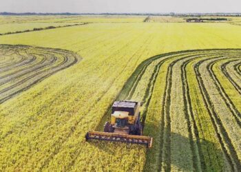 Feira debate cenário atual da produção e comercialização de arroz no Tocantins