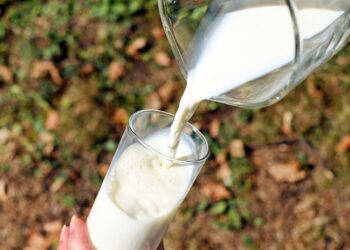 Preço do litro do leite aumenta quase 30% em um ano