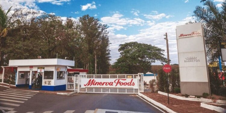 Minerva Foods pode exportar produtos cozidos e congelados aos EUA