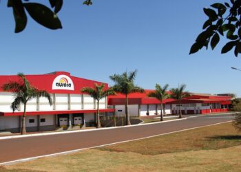 Multinacionais irão investir R$ 261 milhões em Mato Grosso do Sul