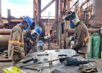 Reativação da usina Vetorial Siderurgia deve alavancar produção de carvão em MS