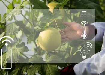 Conheça nove tendências tecnológicas para o agronegócio