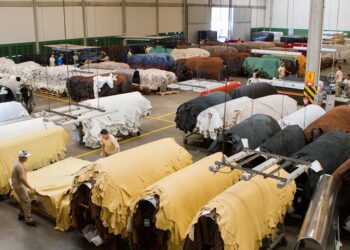 Exportação de couro mato-grossense cresceu 55% em junho