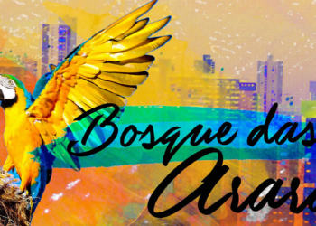 Filme sobre as Araras em Campo Grande será exibido ao vivo e on-line neste sábado (3)