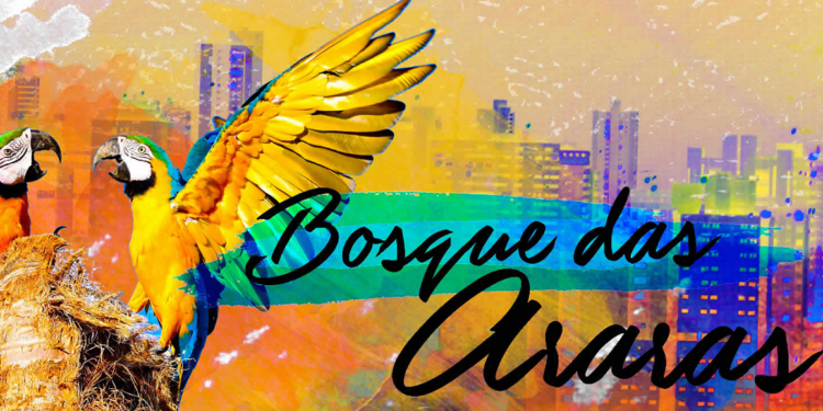 Filme sobre as Araras em Campo Grande será exibido ao vivo e on-line neste sábado (3)