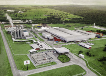 Grupo Petrópolis distribui mais de 10 mil mudas em Cuiabá