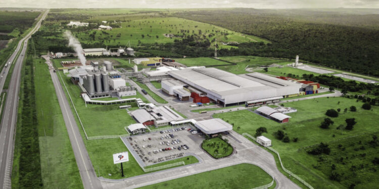 Grupo Petrópolis distribui mais de 10 mil mudas em Cuiabá