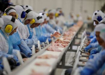 Indústria de MS cresce 6,7% e alcança segunda maior participação do Centro-Oeste