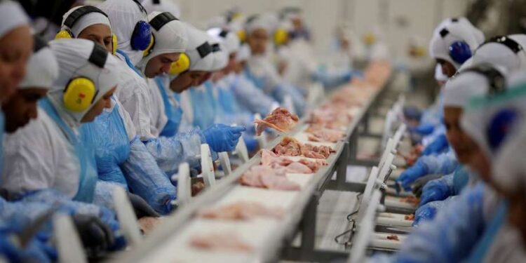 Indústria de MS cresce 6,7% e alcança segunda maior participação do Centro-Oeste