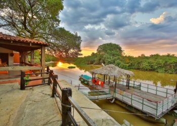 Pantanal mato-grossense é opção para as férias de julho