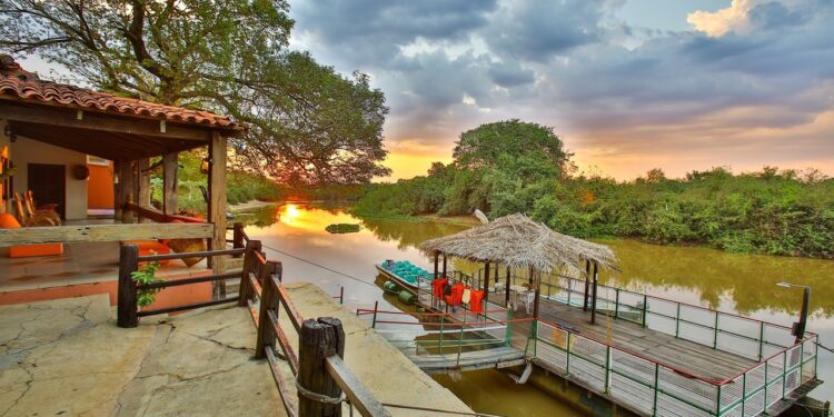 Pantanal mato-grossense é opção para as férias de julho