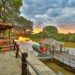 Pantanal mato-grossense é opção para as férias de julho