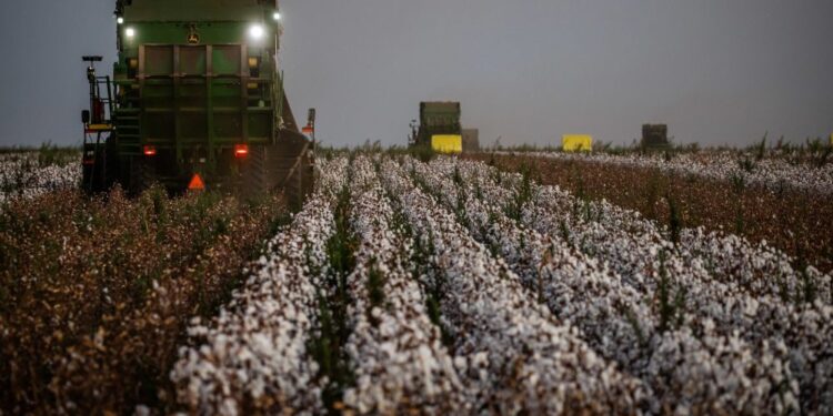 Valor bruto da produção do campo supera R$ 1 trilhão em 2021