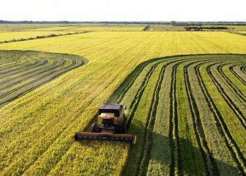 Tocantins pode aplicar recursos de mais de R$ 6 bilhões no plano safra 2021/2022