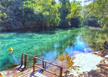 Turismo registra crescimento em 2020, mas ainda abaixo de 2019