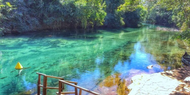 Turismo registra crescimento em 2020, mas ainda abaixo de 2019