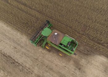 Valor Bruto da Produção Agropecuária de MT em 2021 já soma R$ 191 bilhões