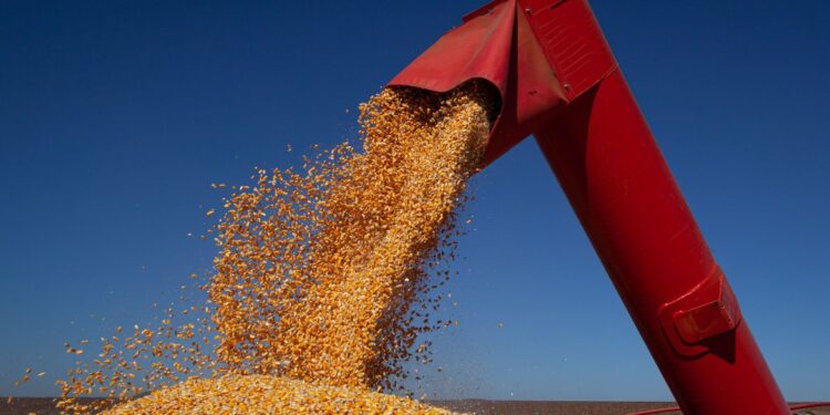 Valor da Produção Agropecuária é estimado em R$ 1 trilhão
