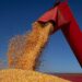 Valor da Produção Agropecuária é estimado em R$ 1 trilhão