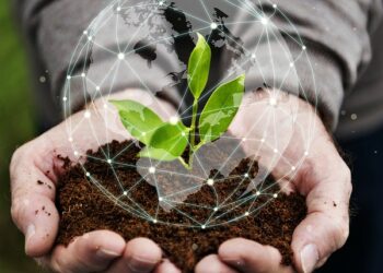 3 desafios para o crescimento de uma agtech e duas soluções