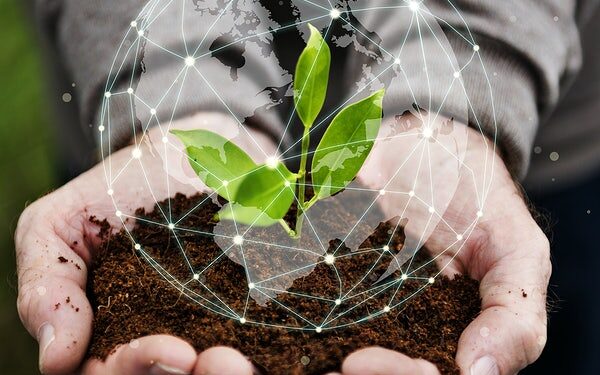 3 desafios para o crescimento de uma agtech e duas soluções