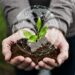 3 desafios para o crescimento de uma agtech e duas soluções
