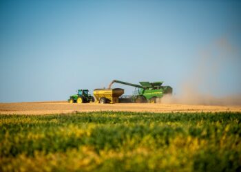 Agro favorece recuperação econômica mais forte no Centro-Oeste, diz BC