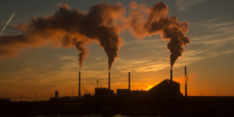 Carbono Zero e caixa a mil