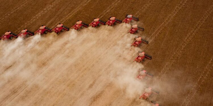 Conab abre inscrições para evento sobre perspectivas para a próxima safra