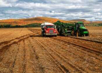 Cooperativismo goiano cresce e ocupa a sexta posição no País