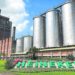 Heineken abre inscrições para programa de trainee com salários de R$ 7,8 mil