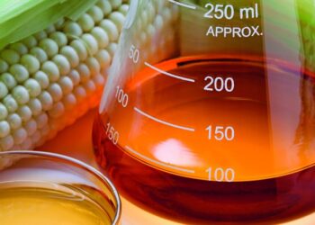 Neoville investe R$ 1 bilhão para produção de biocombustíveis em MS