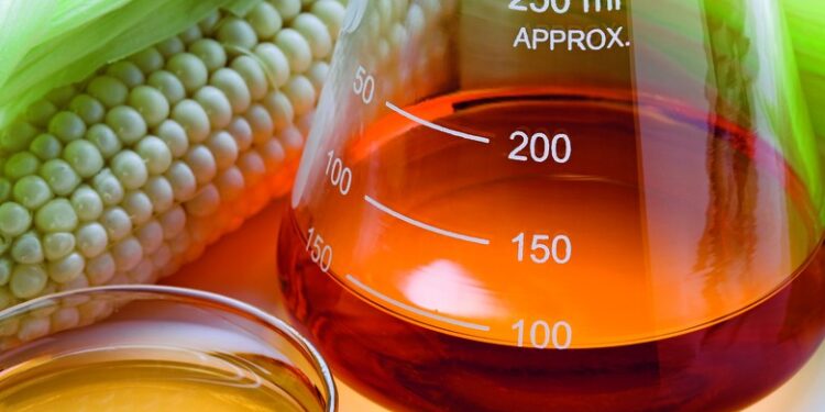 Neoville investe R$ 1 bilhão para produção de biocombustíveis em MS