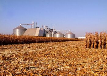 FCO injetará mais de R$ 419 milhões nos setores empresarial e rural de Mato Grosso