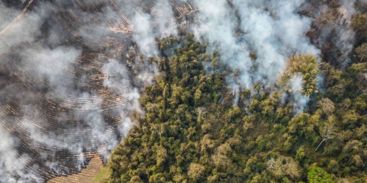 Safras arruinadas no Brasil alimentam inflação global