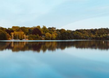 Tocantins poderá incrementar a produção de peixes em 11 mil toneladas