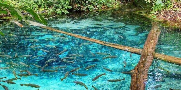 Turismo volta a apresentar bons resultados em Mato Grosso