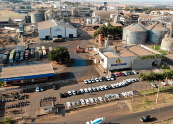 ANP autoriza Grupo Cereal a produzir biodiesel em Rio Verde (GO)