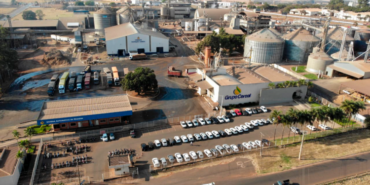 ANP autoriza Grupo Cereal a produzir biodiesel em Rio Verde (GO)