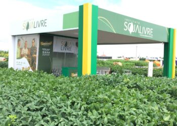 Soja convencional tem rentabilidade superior à soja transgênica em Mato Grosso