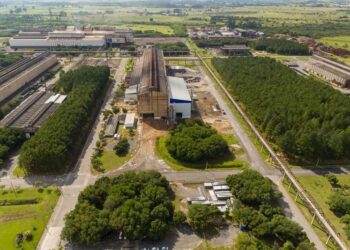 Marcas brasileiras com mais de cem anos fazem aposta na inovação